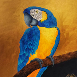 Cheryl Petersen "Blue Bird"